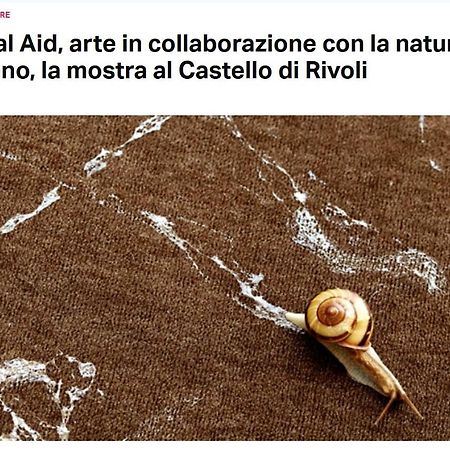 La Casa Di Silvio Ai Giardini Reali Apartment Torino Exterior foto