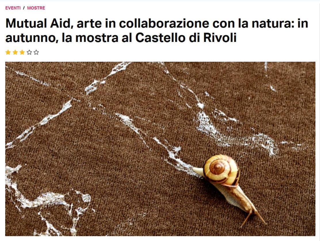 La Casa Di Silvio Ai Giardini Reali Apartment Torino Exterior foto